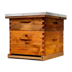 Wooden beehive for honey bee colonies and beekeeping