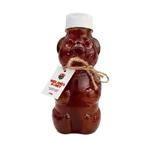 Midlands Honey 100% pure choice grade honey in a 500g bear squeeze bottle